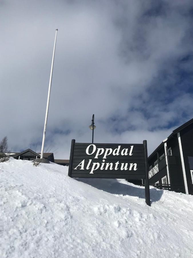 Private Apartments!Oppdal Alpintun, Skisenter-Stolen Zewnętrze zdjęcie