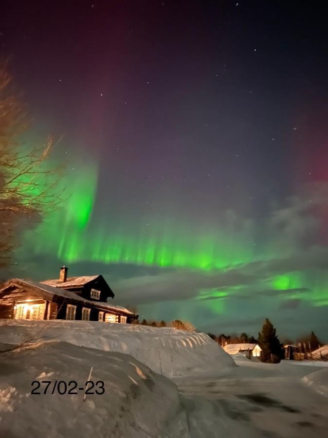 Private Apartments!Oppdal Alpintun, Skisenter-Stolen Zewnętrze zdjęcie